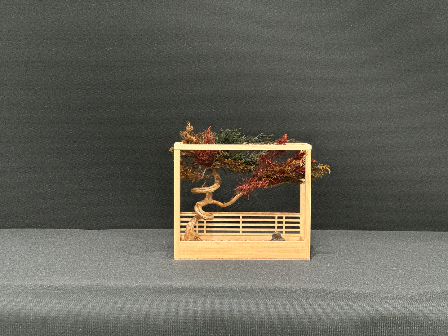 SOLD OUT Lab-0126 La Bonsai sec frame type