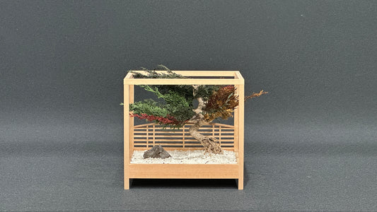 Lab-0128 La Bonsai sec frame type