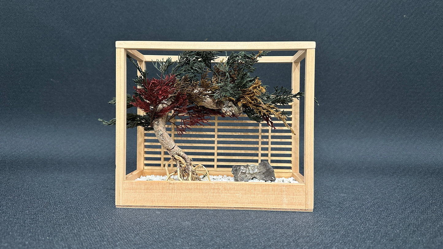 Lab-0129 La Bonsai sec frame type