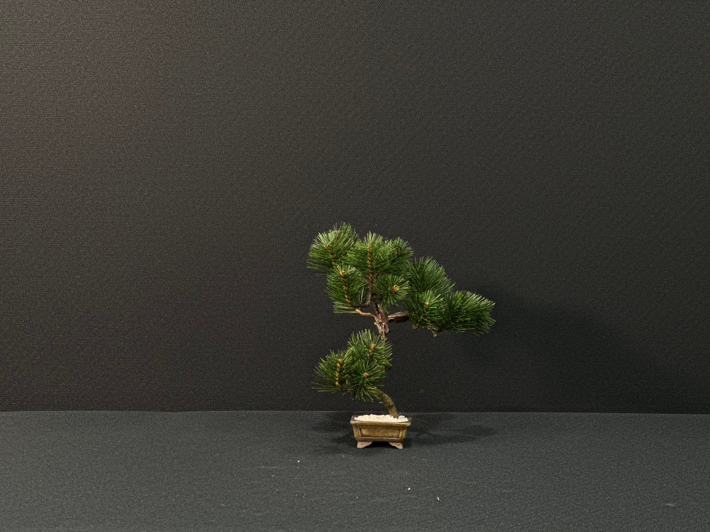 Lab-0148　松シリーズ