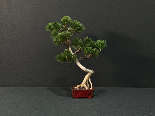 Lab-0149　松シリーズ