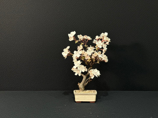 Lab-0155　桜シリーズ