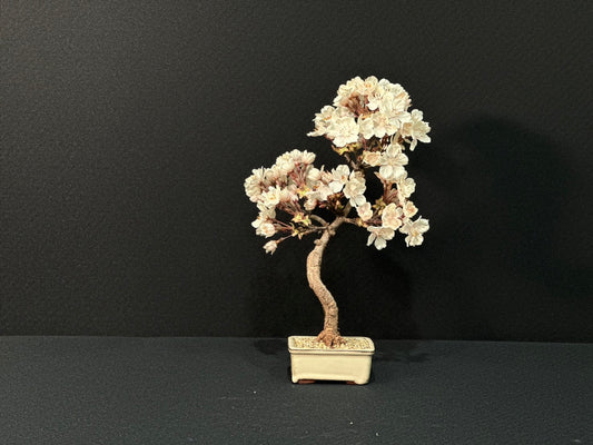 Lab-0156　桜シリーズ